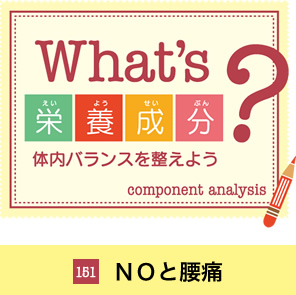 What's栄養成分？体内バランスを整えよう