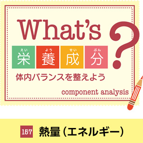 What'sh{H̓oX𐮂悤@105 r^~C