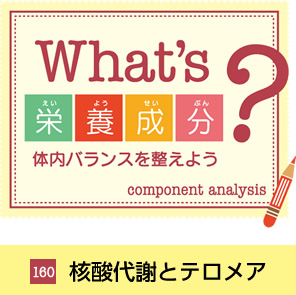 What'sh{H̓oX𐮂悤@105 r^~C