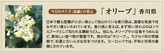 �����̃N�C�Y�̓���