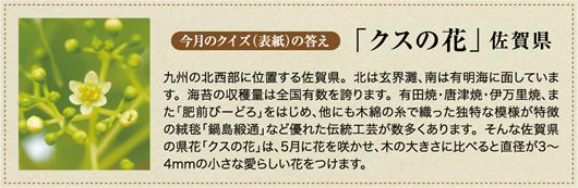 �����̃N�C�Y�̓���