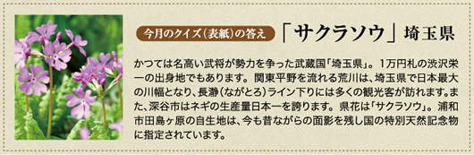 �����̃N�C�Y�̓���