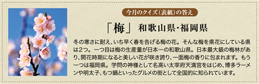 �����̃N�C�Y�̓���