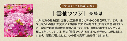 �����̃N�C�Y�̓���