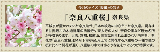 �����̃N�C�Y�̓���