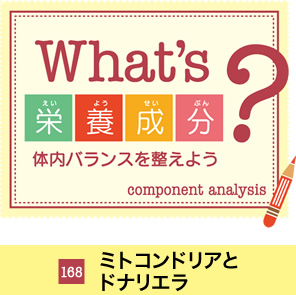 What's�h�{�����H�̓��o�����X�𐮂��悤�@105 �r�^�~��C