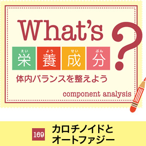 What's�h�{�����H�̓��o�����X�𐮂��悤�@105 �r�^�~��C
