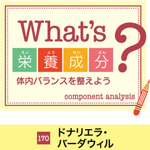 What's�h�{�����H�̓��o�����X�𐮂��悤�@105 �r�^�~��C